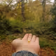 Nature's Gifts