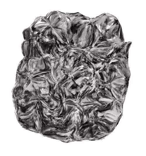 Item #61 Media