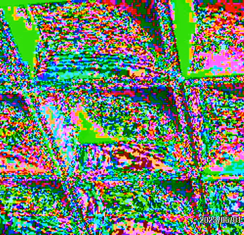 Rodeo posts