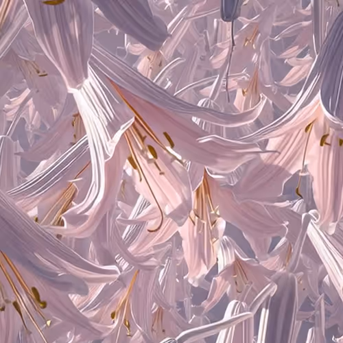 58