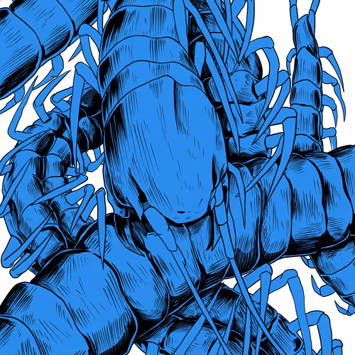 INSECTE