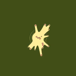 67