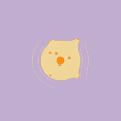 66