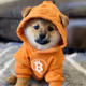 DOG.BTC