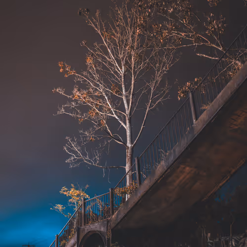Rodeo posts