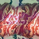 78