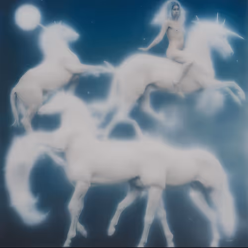 Rodeo posts
