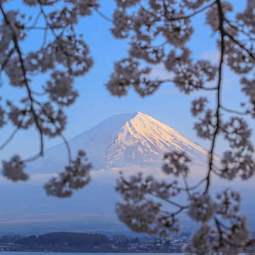 Mount Fuji - Burning