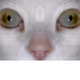 318