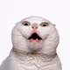 320