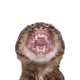 314
