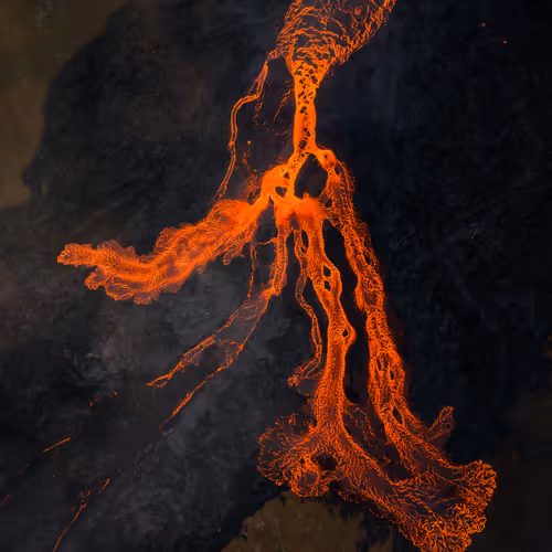 Aerial Views