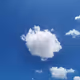 云朵 sky - Member