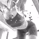 40