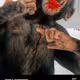 BLOODY MONKEY