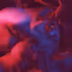 Rodeo posts