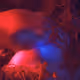 62
