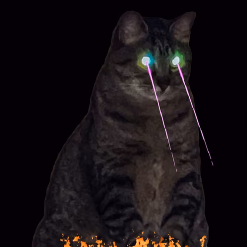 Cats of Random