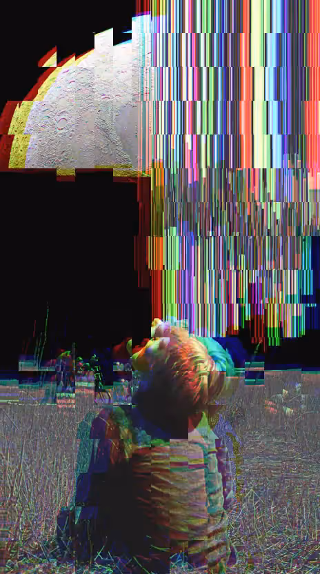 Item #365 Media