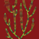 Inner Garden: First Growth nr 3