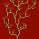 Inner Garden: First Growth nr 12