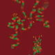 Inner Garden: First Growth nr 7
