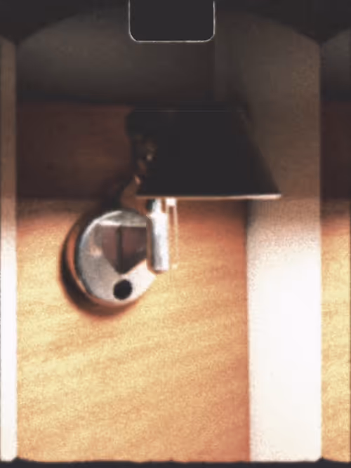 Item #36 Media