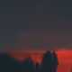 101