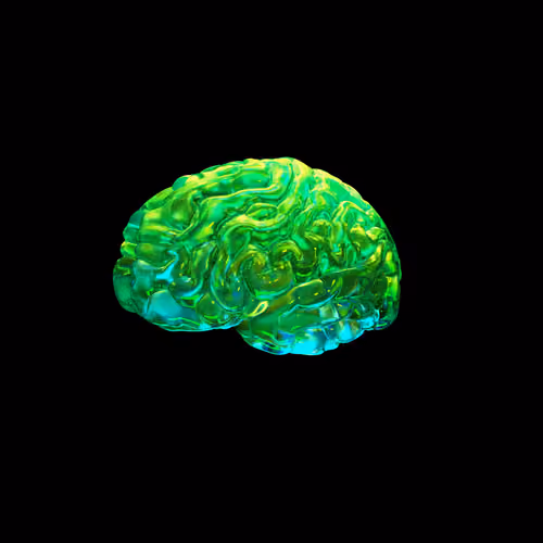 Money Brain 2.0