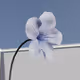 Digital Sentimentality