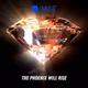 THE PHOENIX WILL RISE (BASE DIAMOND)