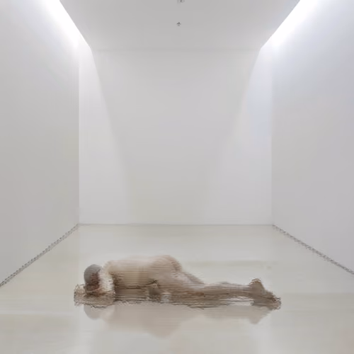 Disassemble a digital body II