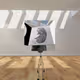 INST-S2-AO15-BS Video Art NFT