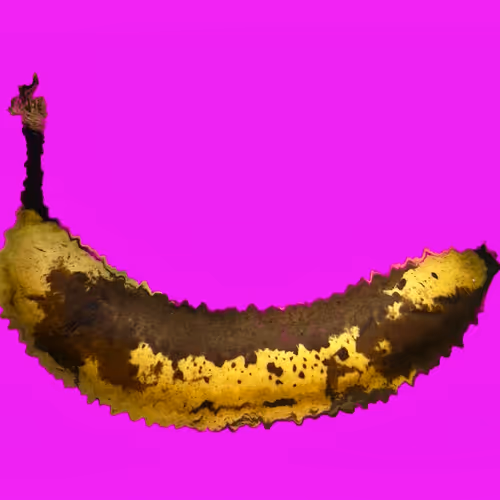 Rodeo posts