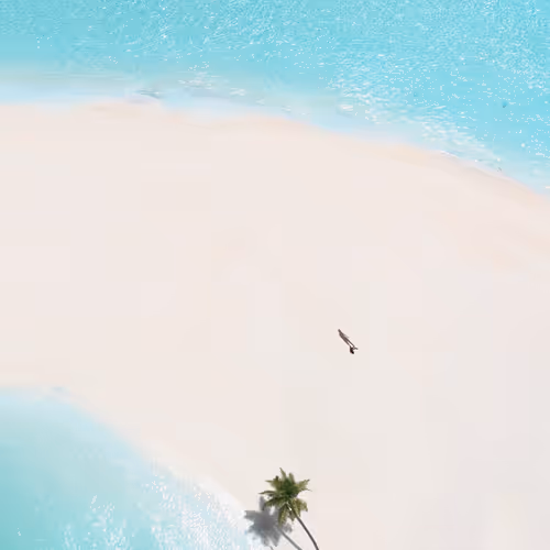 Soaring