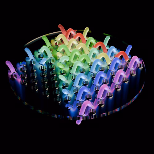 Neon worms