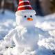 Snowman 1.  Merry Christmas 2025