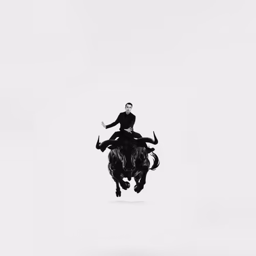 Rodeo posts