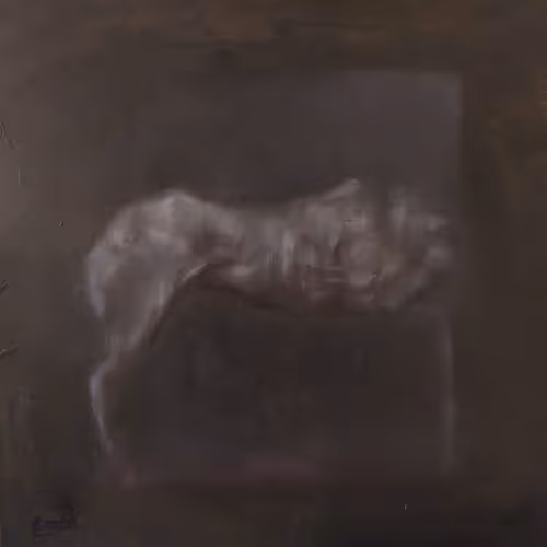 Rodeo posts