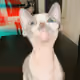 371