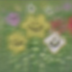 50