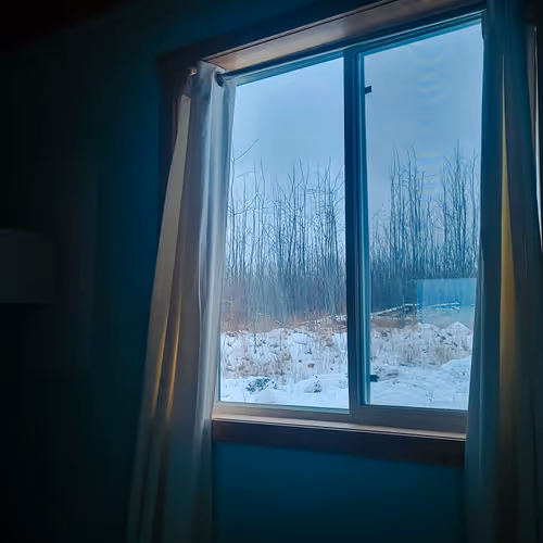 Winter's Cry