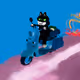 Chill Cat 🐈‍⬛🛵