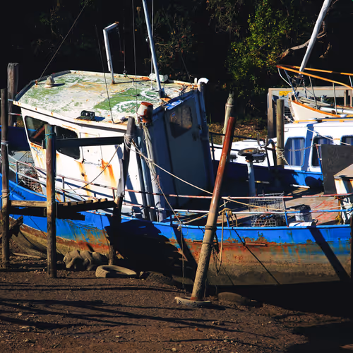 Rising Tides