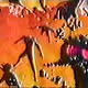 565