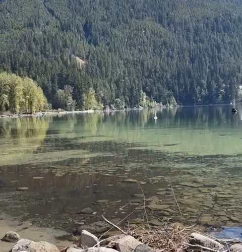 Summer Lake - Chilliwack May 2024