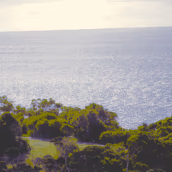 项目媒体占位符