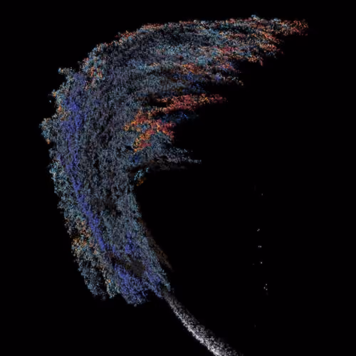 71