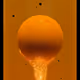 232