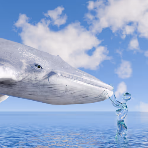 3D AA